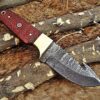 Custom Handmade Damascus Steel Gut Hook Skinner Knife | Christmas Gift, Birthday Gift, Wedding Gift, Anniversary Gift, Valentine's Gift - Image 4